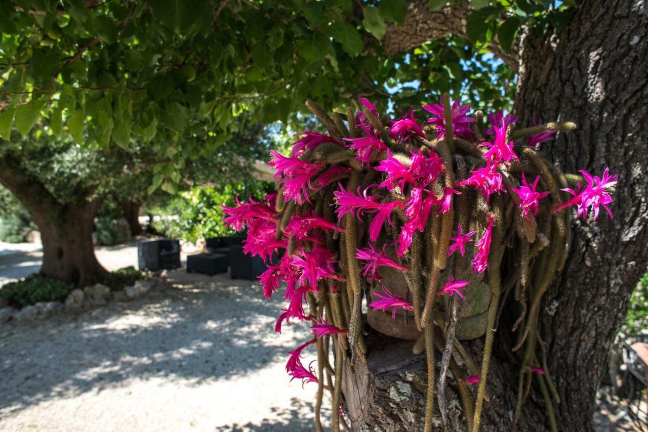 Agriturismo Grotta Di Figazzano Cisternino Kültér fotó