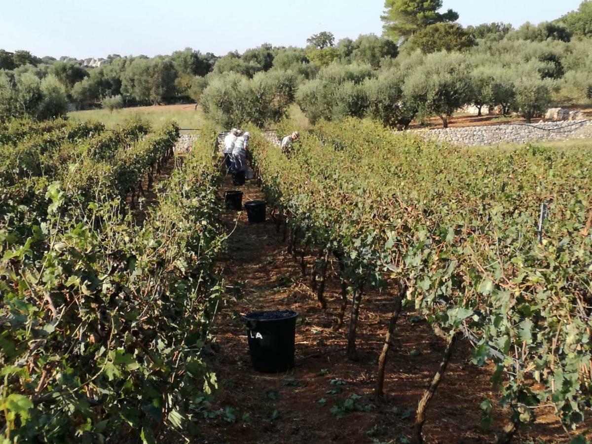 Agriturismo Grotta Di Figazzano Cisternino Kültér fotó