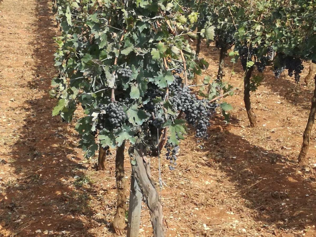 Agriturismo Grotta Di Figazzano Cisternino Kültér fotó