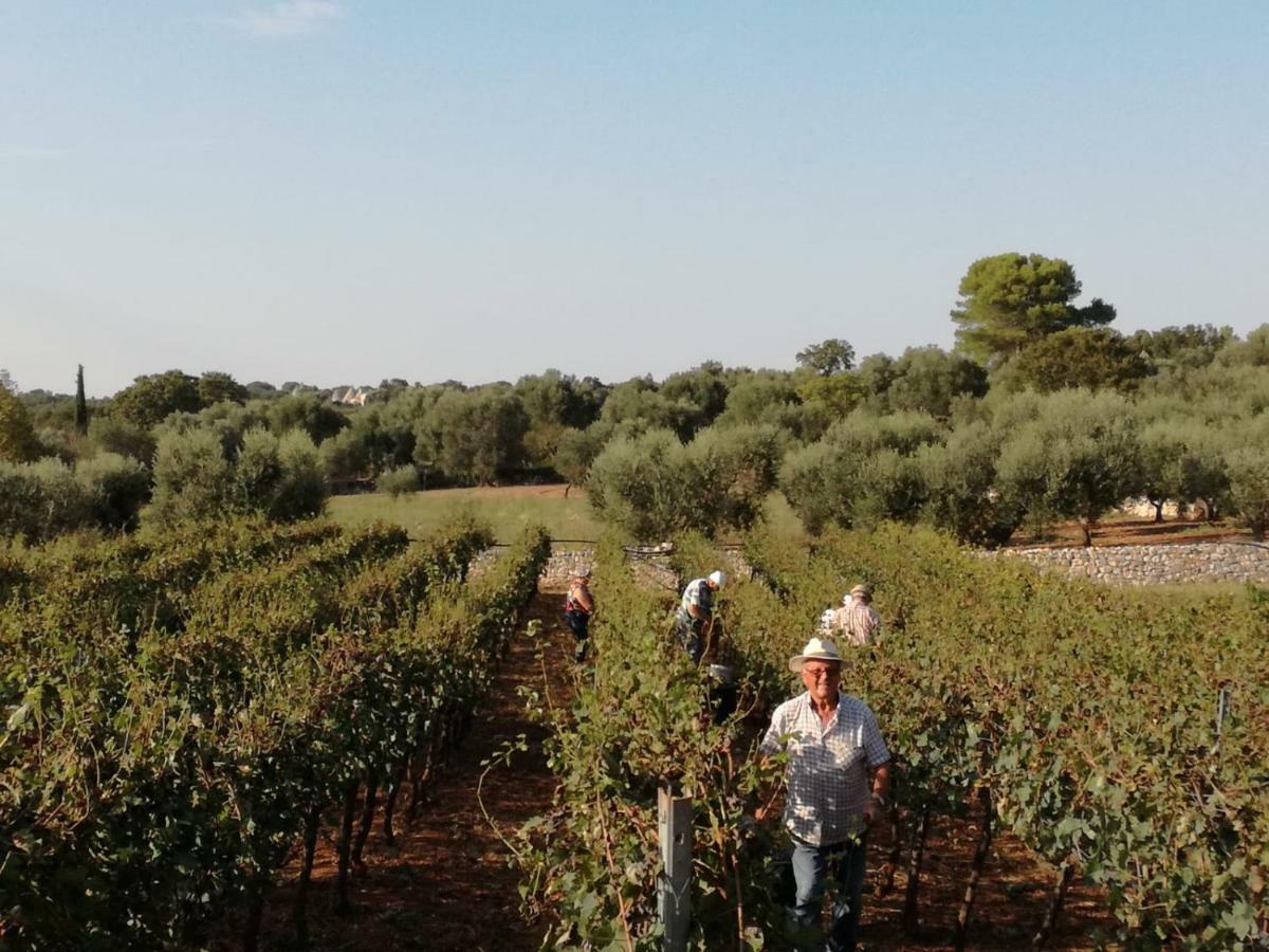 Agriturismo Grotta Di Figazzano Cisternino Kültér fotó